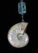 Stunning Fossil Ammonite Necklace With Tourmaline #15790-3